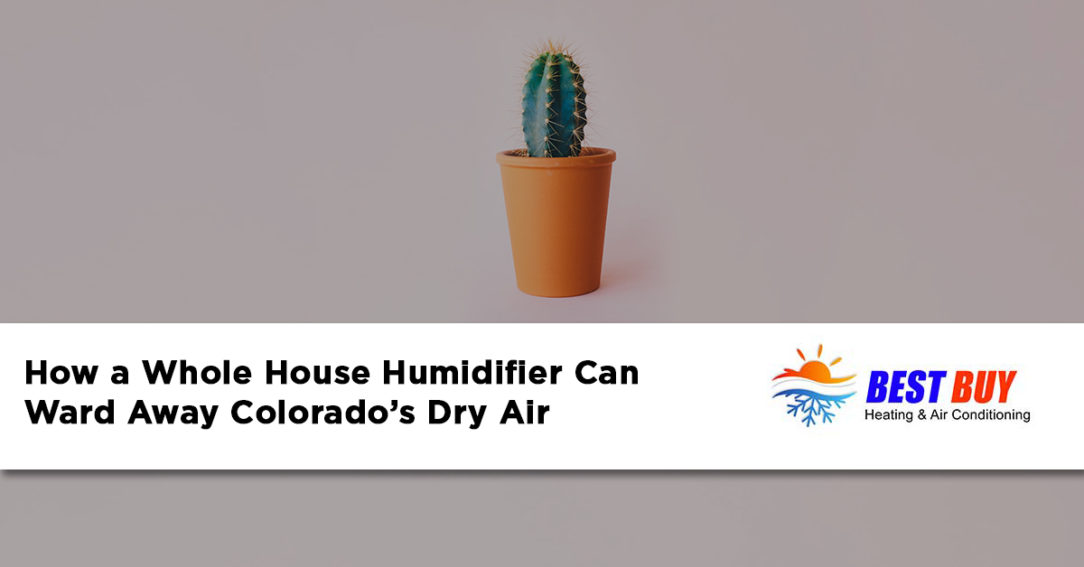 whole house humidifier