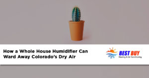 whole house humidifier