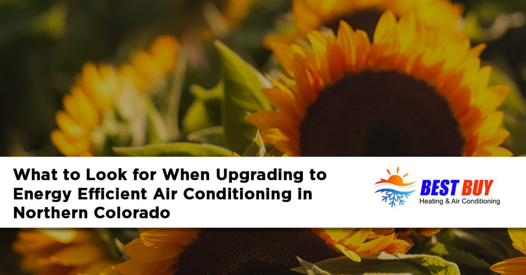 best-buy-heating-air-energy-efficient-air-conditioning-northern-colorado